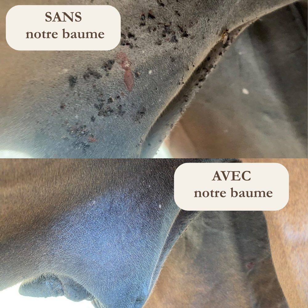 Peau de bêtes - Baume protecteur insectes
