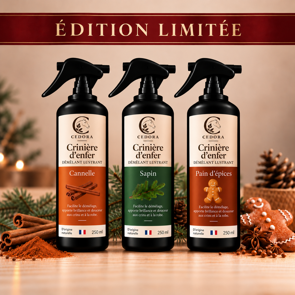 PACK Crinière d'enfer - démêlant lustrant ÉDITION LIMITÉE