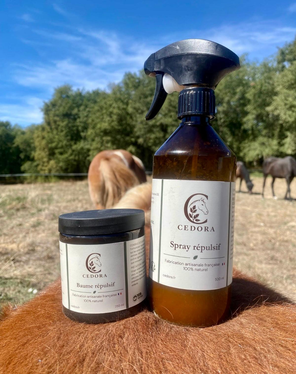 PACK DUO insectes Baume + Spray