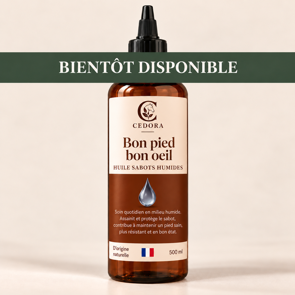 Bon pied bon oeil - Huile sabots humides