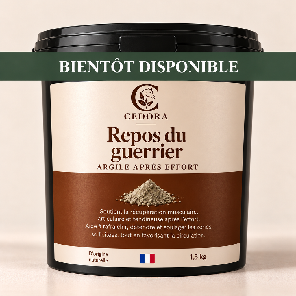 Repos du guerrier - Argile après effort