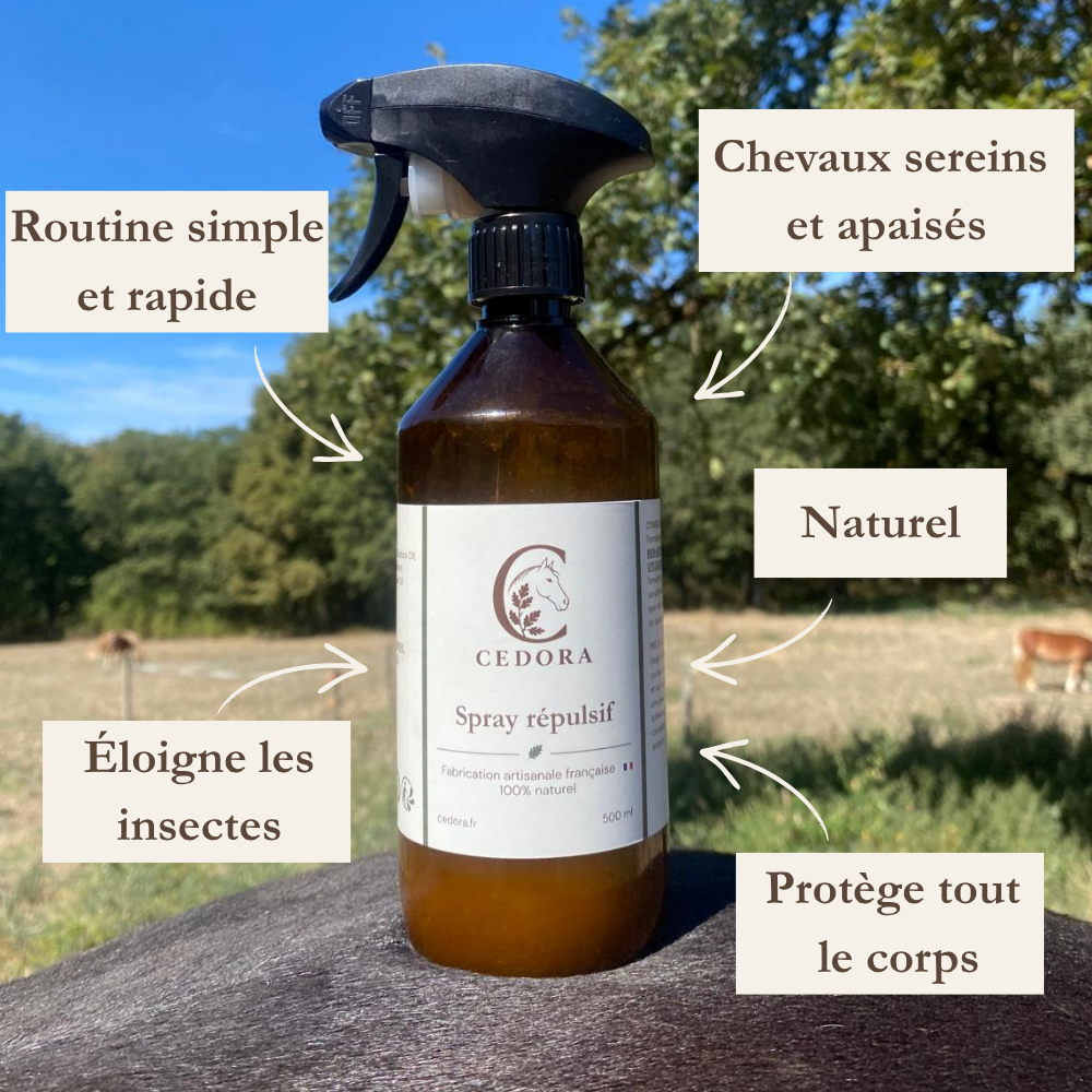 Pré à porter - Spray protecteur insectes